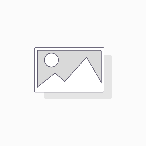 555 Spanish Style Sardines in Oil (155gx 50)